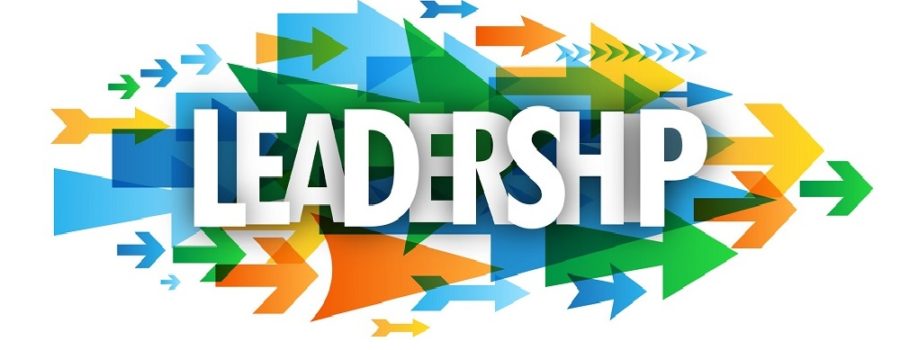 Building Capacity Through Volunteer Leadership